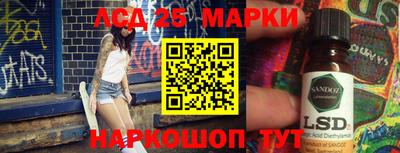 индика Можга