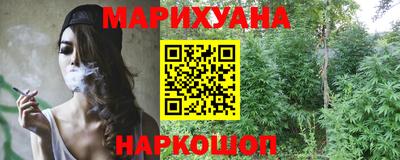 индика Можга