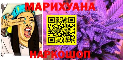 индика Можга