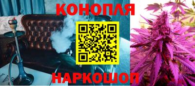 индика Можга
