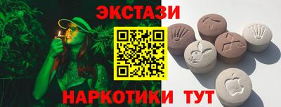 индика Можга