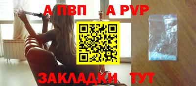 индика Можга