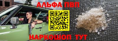 индика Можга