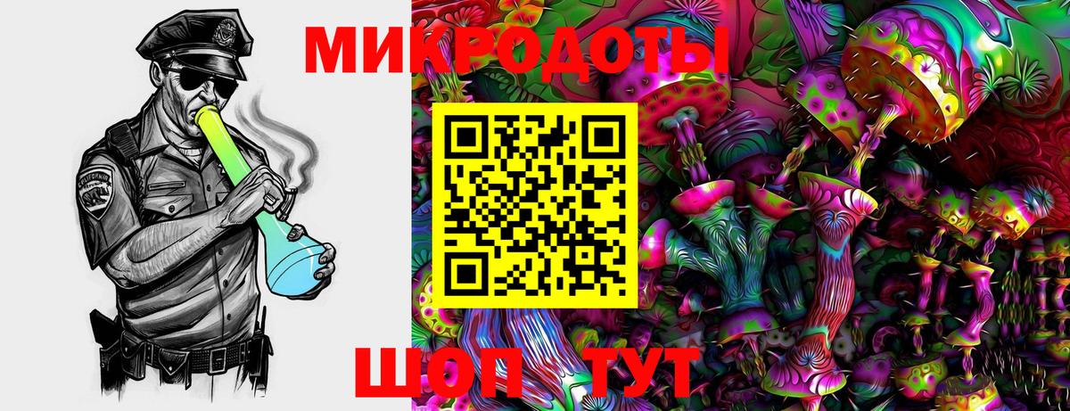 Псилоцибиновые грибы прущие грибы Таганрог